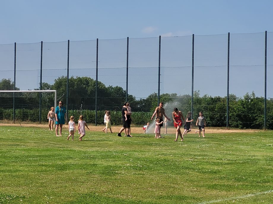 Agricultural Processing